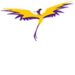 =RFL= Hyperush Field