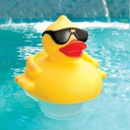 duck obby..