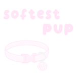 softestpup