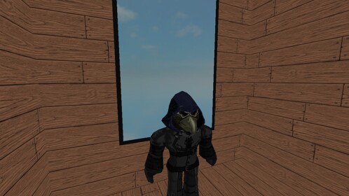 through the mirror