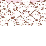the kawaiis bears
