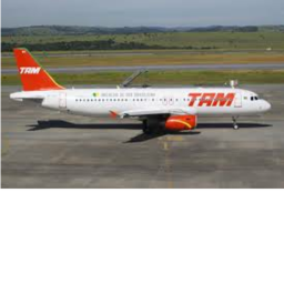 TAM Airlines Flight 3054