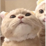 Twïź~