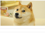 Loser doge