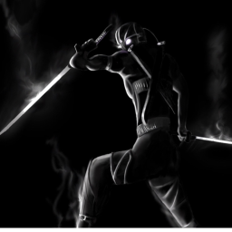 Ninja Life