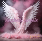 {x Aesthetic Angels x}
