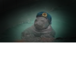 Seal.Gang