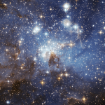 The Starry Sky