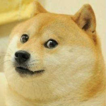 DOGE FOR LIFE!!!!!!!!!!!!!!!!!!!!!!!!!!!!!!