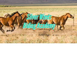 Silver Winds Riding Academy