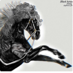Black horse’