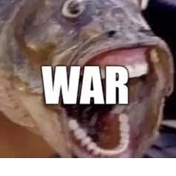 meme