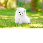 It’s me hi I’m your bestie its me