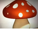 The mushroom group’s