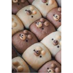 ꒷꒦꒷꒦꒷꒦꒷꒦꒷꒦꒷