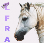 Lilac Fields Riding Academy