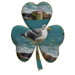 lucky segull clover