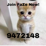 FaZe Dahoodians