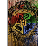 HArRy PoTTer (the boy who lived)