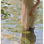 Fairy Secrets｡:+*
