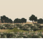Al Hasakah Province Staff Team