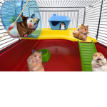 HAMSTER CAGE *SQUEEK*