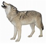 The Wolf Clan Productions