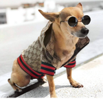 Thebeautyoffashion