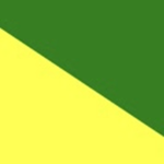 Mahal Corps [ISR] | Volunteer Corps