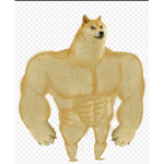 onepice/DOGE