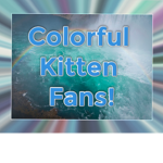 Colorful Kitten Fans!