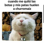 Un grupo de lo que sé