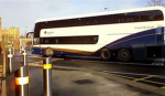 Translink Goldliner