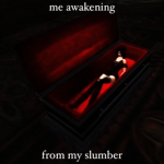 nvr 4evr