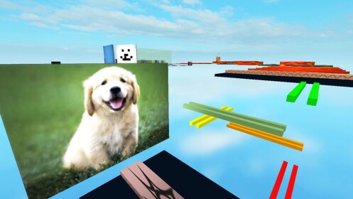The Dog Obstacle Course