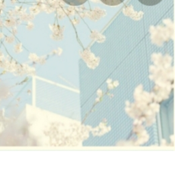 Skys