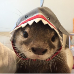=sweet+hearts=
