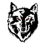 New Hampshire Wolves Football Team