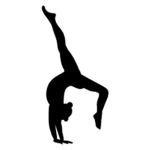Go great gymnastics group!