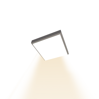 Ceiling Light (Pretty Affects)