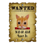 Wanted YOUR FRIEND