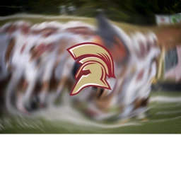 Spartans Stadium icon