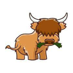 Cow community_