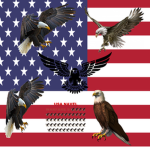 America NAVAL WARFARE