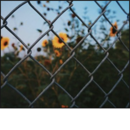 𝐆 𝐮 𝐘 𝐬