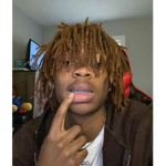 official Danthepoliceman Group