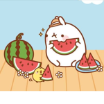 Melon_Vibes