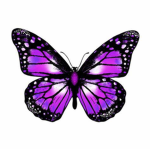 Butterfly Migration Squad