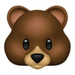 - bear’s closet -