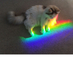 xXssquaddxX